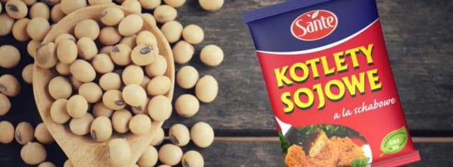 Jak przygotować kotlety sojowe, które zachwycą smakiem i prostotą Jak przygotować kotlety sojowe, które zachwycą smakiem i prostotą